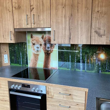 Alpakaglueck Apartment Muhlbach  ภายนอก รูปภาพ